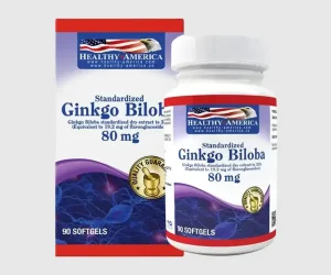 Ginkgo Biloba